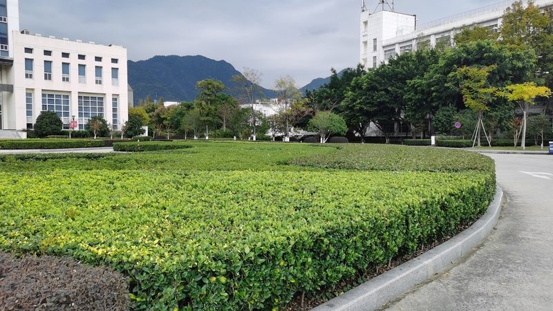 常州市东事达包装材料有限公司