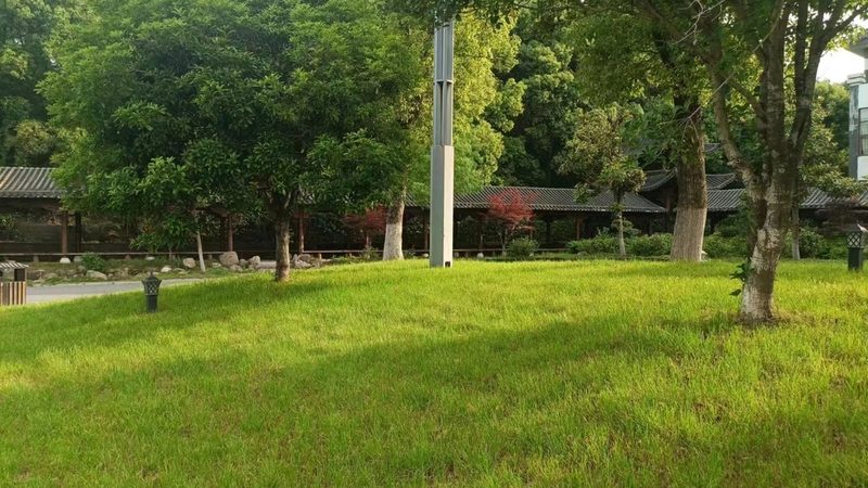 山地苗木土球打包，如何避免常见误区