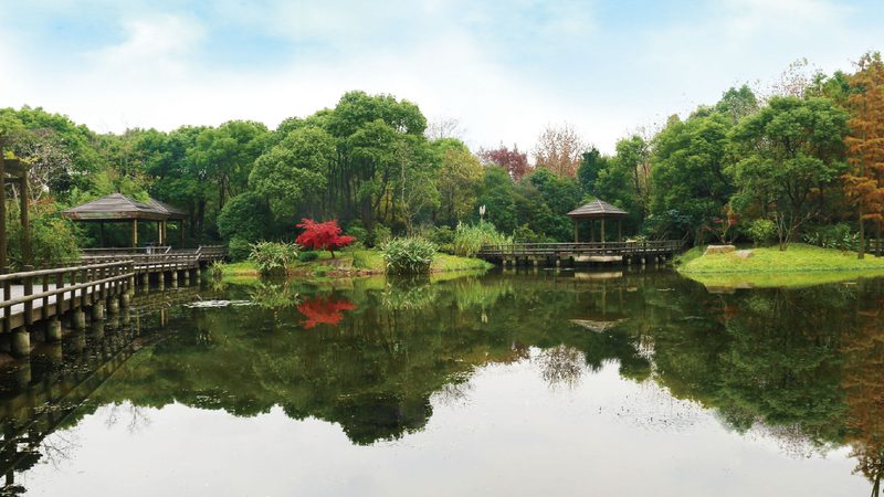 庭院园林景观设计合同模板：关键要素与注意事项